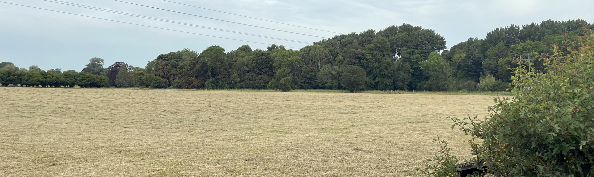 Existing site photo